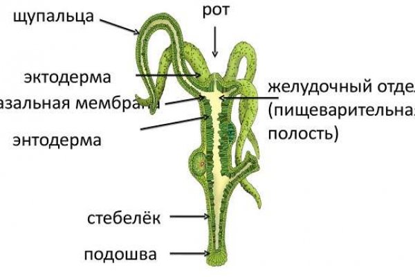 Кракен даркнет что известно